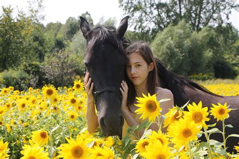 Sunflower Seeds for Horses: Yea or Nay? - Kentucky Equine …