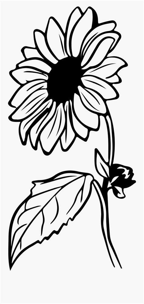 Sunflower clipart black and white. Things To Know About Sunflower clipart black and white. 