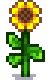 Sunflower stardew valley. Version - 1.5.6.46 - Stardew Valley+ for Apple Arcade. I had a similar issue with being unable to place cookies on the friendship board (for remixed bundles). I don't recall exactly what resolved it, but either it was (1) trying the next day, or (2) zooming in further, or (3) temporarily saving the farm file to iCloud via the Files app ... 