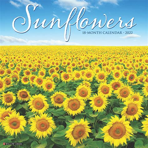 Download Sunflowers 2021 Wall Calendar By Willow Creek Press