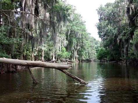 Sunland Center State Park, a Florida State Park located near …