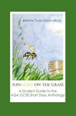 Sunlight on the grass a student guide to the aqa gcse short story anthology. - Chapter 29 stars study guide key.