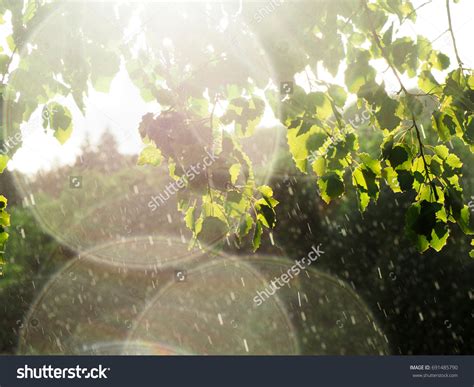 Sunny Rain Onlyfans Leak