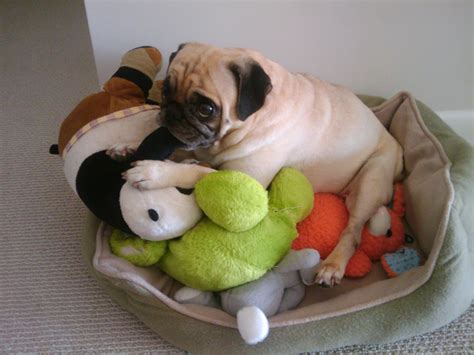 Sunny_Rosy) Leaks 😈 XxX