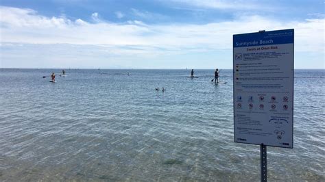 Sunnyside Beach and Centre Island deemed unsafe to swim due to E.coli