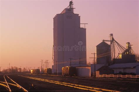 Sunrise Coop Grain Prices
