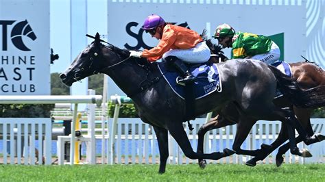 Sunshine Coast - R6 QTIS 2-Y-O C&G Maiden Hcp, Form Guide …