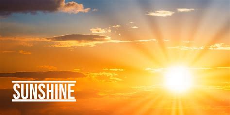 Sunshine github.  Self-hosted game stream host for Moonlight.  A collection of awesome Suns...