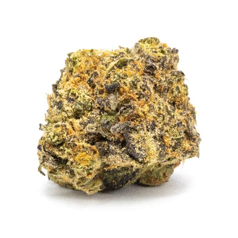 Super lato strain. A cross between Thin Mint Girl Scout Cookies and Blueberry, Berry Gelato takes influences from both in their super sweet tastes and potent highs. The flower itself holds a high 21% in the THC department attracting more long-term cannabis users to its packets. Its CBD levels run an average of 0.26 to 0.48. It is rare as a balanced 50-50 ratio ... 