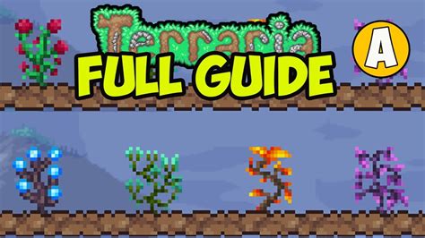 Super-easy Strange Plant Autofarm [GUIDE] : r/Terraria