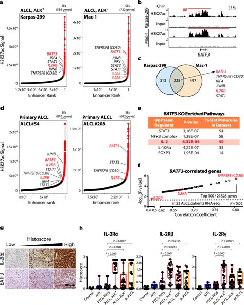 Super-enhancer-based identification of a BATF3/IL-2R-module