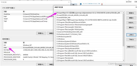 SuperMap IObjects C ++ Data Set Management - Programmer …