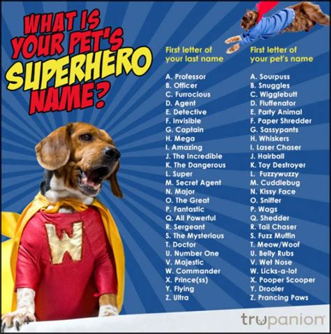 Superhero dog names can be inspired by various sources, including comic book characters and famous canine heroes