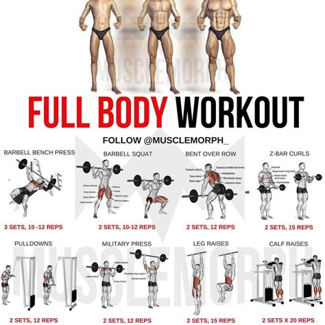 Superset workouts for lean muscle building, body weight mass …