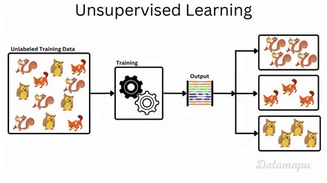 Supervised and unsupervised learning examples. ) during execution or performan...