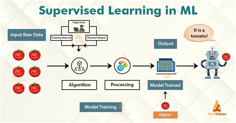 Supervised learning. Supervised learning is a machine learning approach that's defined by its use of labeled datasets. The datasets are designed to train or “supervise” algorithms into classifying data or predicting outcomes accurately. Using labeled inputs and outputs, the model can measure its own accuracy and learn over time. 