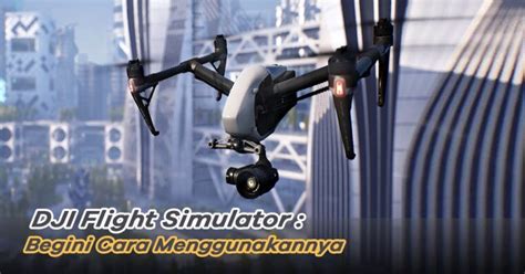 Support for DJI Flight Simulator.