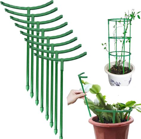 Support for climbing plants indoor.  Choose the right support structures and use appropriate t...