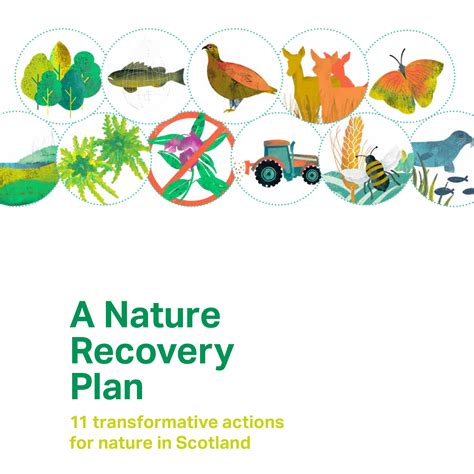 Support for nature recovery plan - Issuu