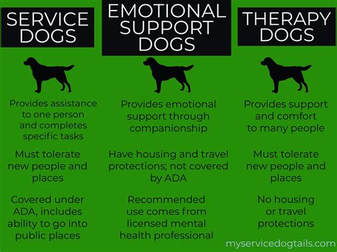 Supportpet. Psychologists, therapists, and other mental health professionals are well-equipped to write an emotional support letter as they are trained to assess your mental illness and can provide relevant information. The emotional support animal letter must include specific information, such as how the animal provides support, and the therapist’s ... 