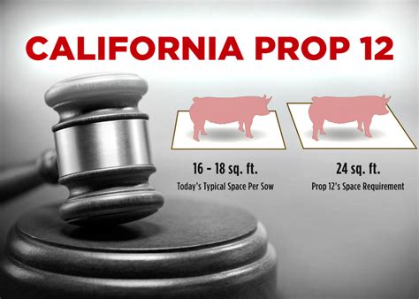 Supreme Court backs California law for more space for pigs. Producers predict pricier pork, bacon