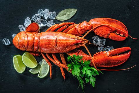 Supreme lobster. Things To Know About Supreme lobster. 