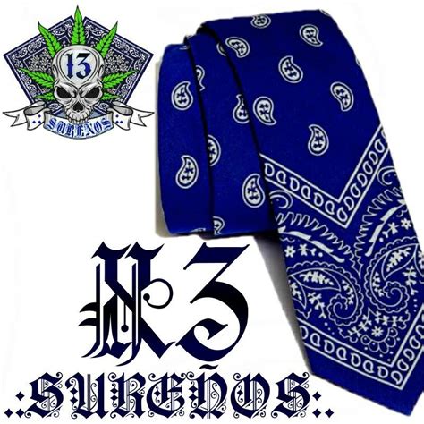 Sur 13 gangster. Sur 13 is another name for the Sureños (Spanish for "Southerners"), a group of Mexican American street gangs with its origins in the oldest barrios of Southern California. 