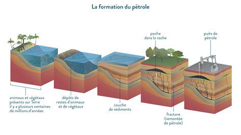 Sur la composition et la structure des hydrocarbures lourds du pétrole. - Jatkotutkinnoista ja jatkotutkintojen taustatekijöistä tampereen yliopistossa.