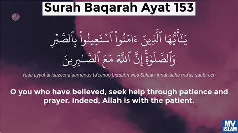 Surah Al-Baqarah Ayat 153 (2:153 Quran) With Tafsir - My Islam