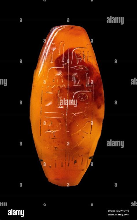 Suret Halı ve Koltuk Yıkama