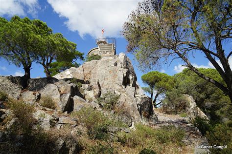 Sureyyapasa Halı ve Koltuk Yıkama