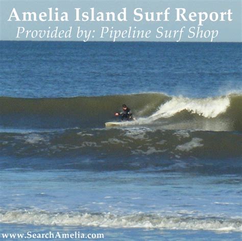 Surf report fernandina beach. By most estimates, approximately 20,000 female hawksbill turtles are left in the world. They are considered endangered, according to National Geographic. Sea turtle populations are based on estimations of how many nesting females there are,... 