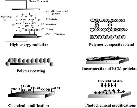 Surface Modification of Polymers: Chemical, Physical, …