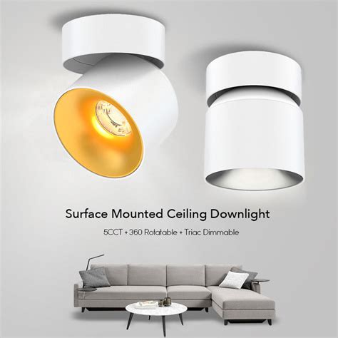 Surface mounted downlight, Surface-mounted …