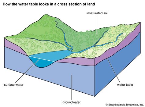 Surface water becomes groundwater when it. Surface water becomes groundwater when it a percolates into the recharge zone. b condenses to form drops of liquid water. c flows onto the ground through a spring. d moves below the water table. percolates into the recharge zone. 