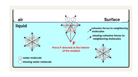 SurfaceTension - UW-Physics Faculty Wiki