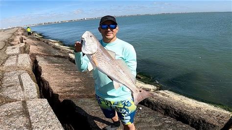 Weekly Fishing Reports. Weekly. Fishing Reports. Fishing reports are updated each week, usually by Thursday morning. The reports are compiled by an outside contractor who receives the information from bait shops, marinas and fishing guides.. 