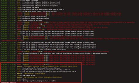 Suricata File Extraction API