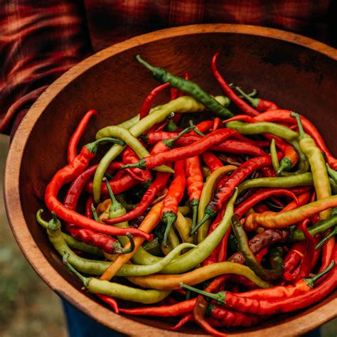 Surmeli Halı ve Koltuk Yıkama