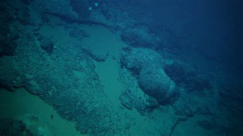 Surprise undersea volcano could offer unique window into …