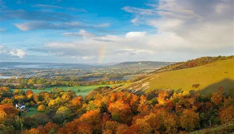 Surrey Hills Area of Outstanding Natural Beauty