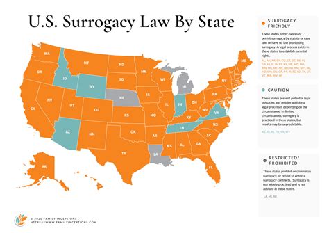 Surrogacy In The US & The Process For Surrogacy - CSP