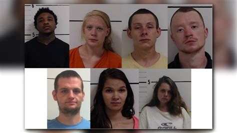 Surry county nc arrest reports. .  ...