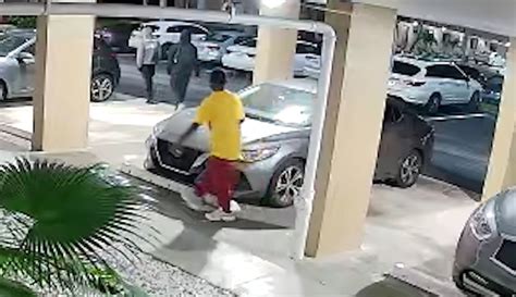 Surveillance footage captures attempted car burglar defacing vehicles in North Lauderdale