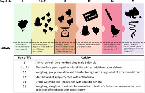 Survey of coccidia on commercial broiler farms in Colombia ... - PubMed