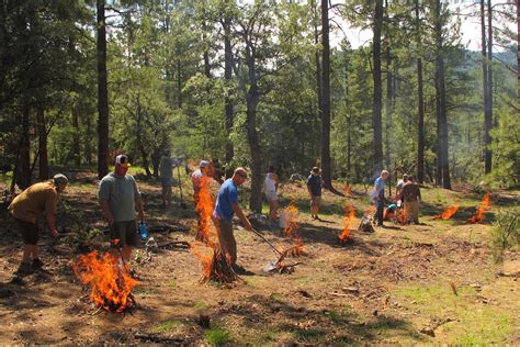 Survival training near me. Things To Know About Survival training near me. 