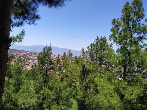 Susamlik Halı ve Koltuk Yıkama