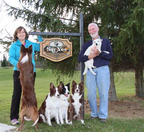 Susan garrett. Why “Choice” is the Critical Key to a Great Dog | Susan Garrett's Dog Training Blog. June 3rd, 2018 | 45 Comments. Many years ago I introduced a game that … 