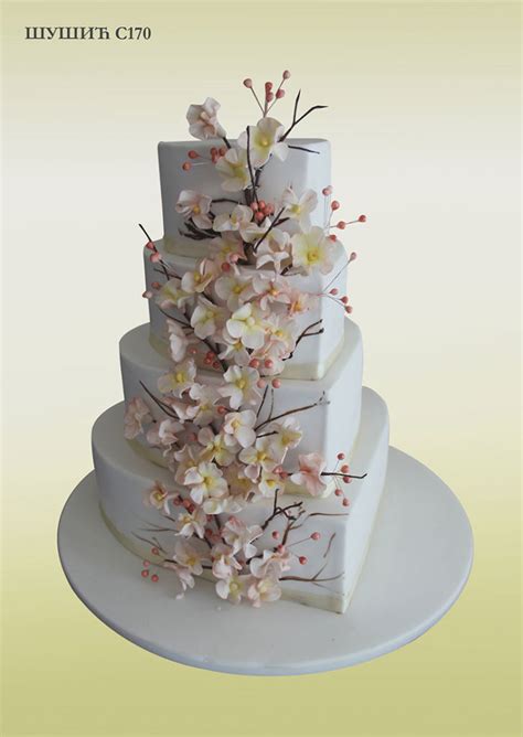 Susic torte posao.  &Scaron;u&scaron;ić torte +381 69 19 17 111 Bobija Fi&scaro...