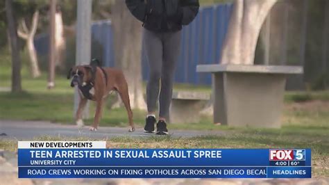 Suspect arrested in sexual assault, groping spree